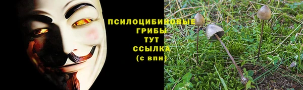 spice Нязепетровск